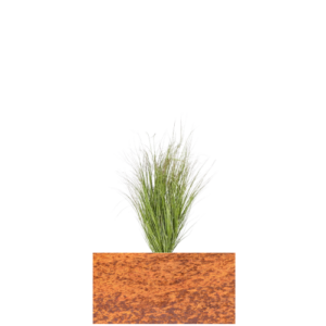 30 cm