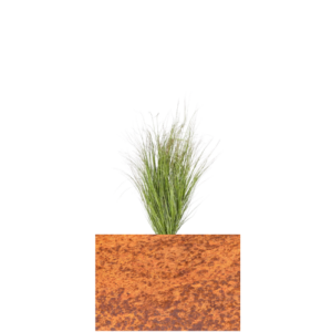 40 cm