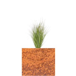 60 cm