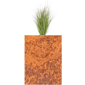100 cm